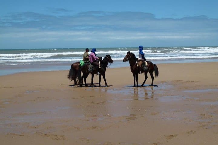 Essaouira 3-Hour Horse Riding: Beach Gallops, Dunes & Eucalyptus Forests