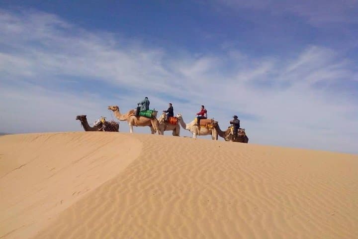 3-Hour Camel Ride on Essaouira Beach: Dunes, Ocean and Local Life