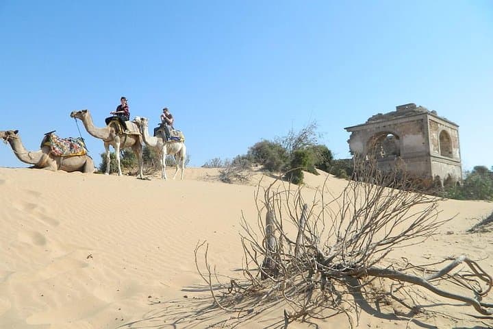 3-Hour Camel Ride on Essaouira Beach: Dunes, Ocean and Local Life photo 2
