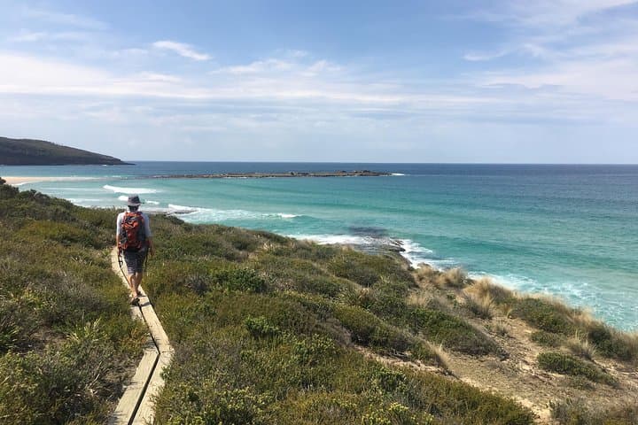 Murramarang 3-Day Coastal Walk from Batemans Bay: Beaches, Rainforest & Wildlife photo 2
