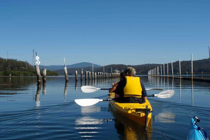 Paddle and Taste: Batemans Bay Oyster Kayak Tour photo 3