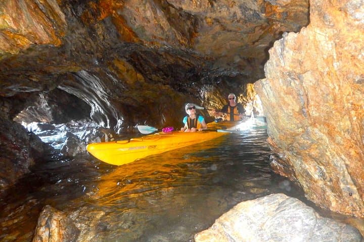 Sea Kayak Whale Watching in Batemans Bay Marine Park photo 3