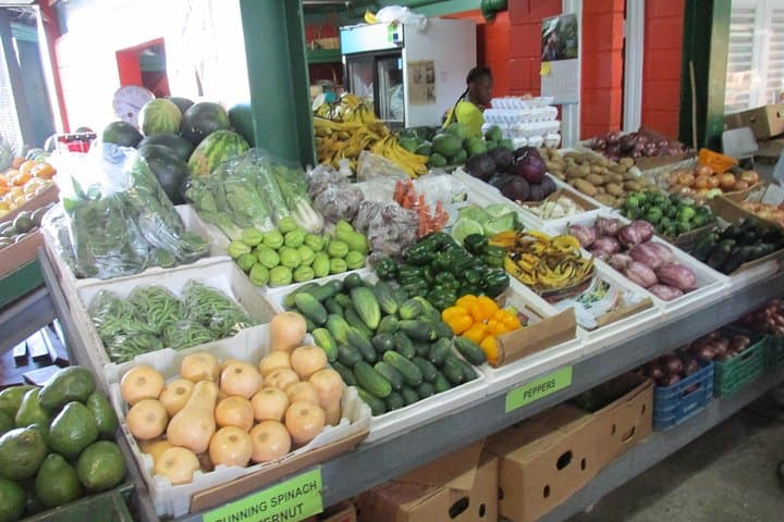 Outback Antigua: Full-Day Agriculture & Ecological Tour from St. John's photo 3