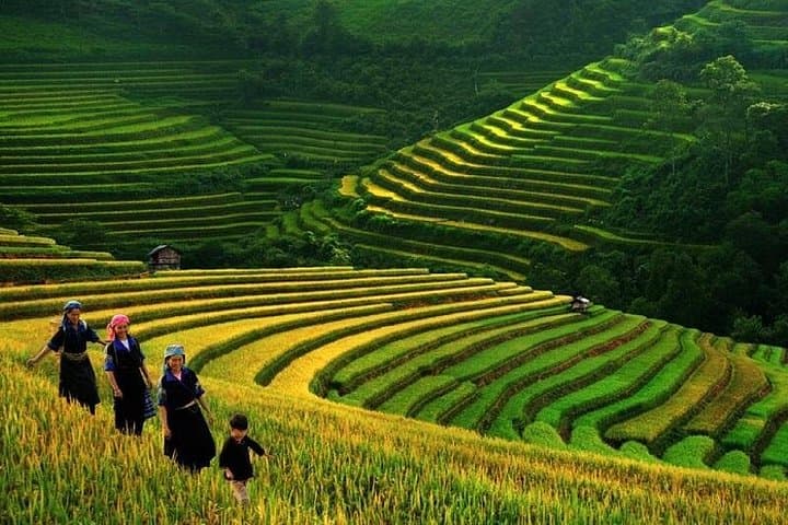 Sapa 3-Day Trek & Homestay: Cat Cat, Lao Chai and Ta Van Trails photo 1