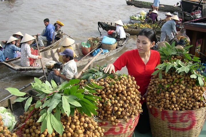 Private Luxury Mekong Delta 1-Day Tour from Ho Chi Minh City