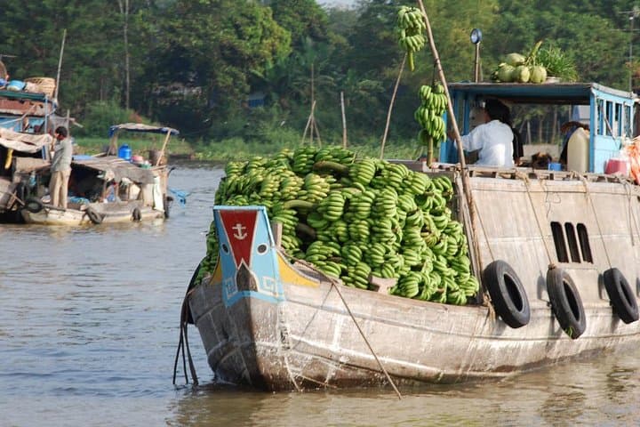 Private Luxury Mekong Delta Day Trip from Ho Chi Minh City