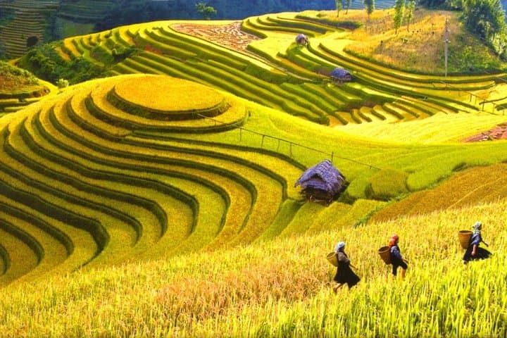 Sapa 2-Day Trek & Homestay: Rice Terraces, Ethnic Villages and Mountain Trails photo 2
