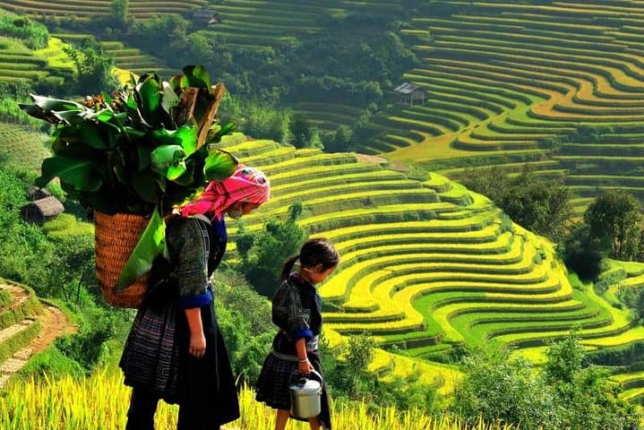 Sapa 2-Day Trek & Homestay: Rice Terraces, Ethnic Villages and Mountain Trails