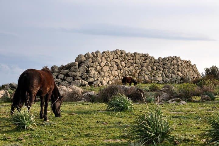 Barumini UNESCO & Giara di Gesturi Day Tour from Cagliari photo 2