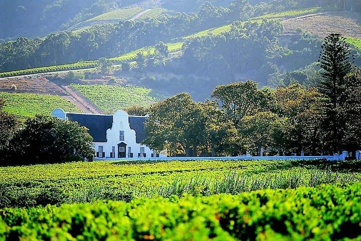 5-Day Cape Winelands and Garden Route Private Tour — Wines, Caves & Coastline photo 3