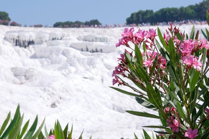 Exploring Pamukkale and Hierapolis: Day Tour from Selcuk to the Cotton Cliffs