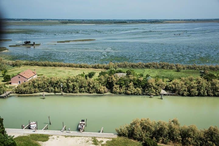Half-Day Private Cruise to Murano and Torcello — Glass, History & Lagoon Views photo 2