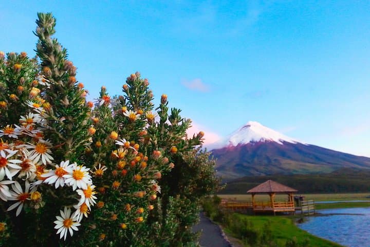 Full-Day Cotopaxi Volcano Trek from Quito: Laguna Limpiopungo & José Rivas Refuge photo 2
