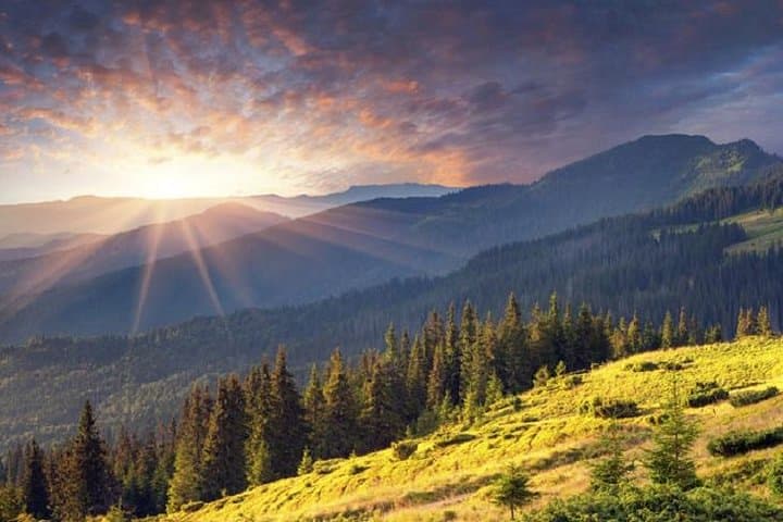 Day Hike to Boyana Waterfall and Vitosha's Wild Slopes from Sofia photo 4