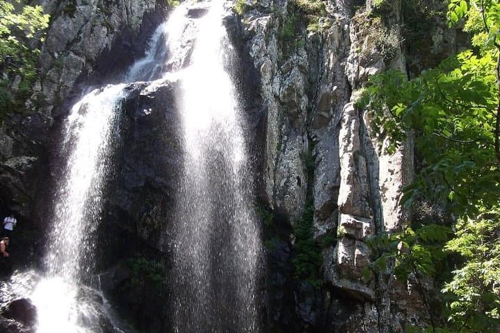 Day Hike to Boyana Waterfall and Vitosha's Wild Slopes from Sofia photo 5