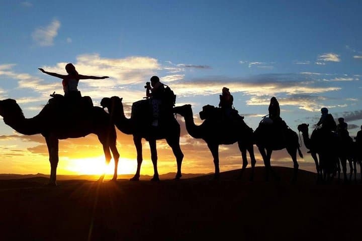 2-Day Zagora Desert Tour from Marrakech — Camel Rides & Berber Bivouac