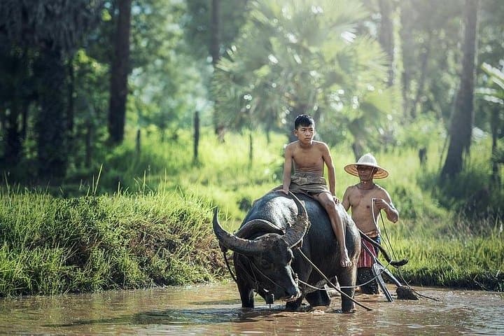 Village Life Tour from Siem Reap: Authentic Cambodian Rural Experience