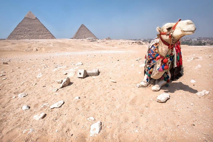 Sunset Camel and Horse Safari at Giza Pyramids: Private Desert Ride with Sunset Views photo 1