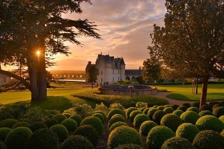 Loire Valley Château & Wine Day Trip from Paris: Chenonceau, Chambord and Lunch photo 3
