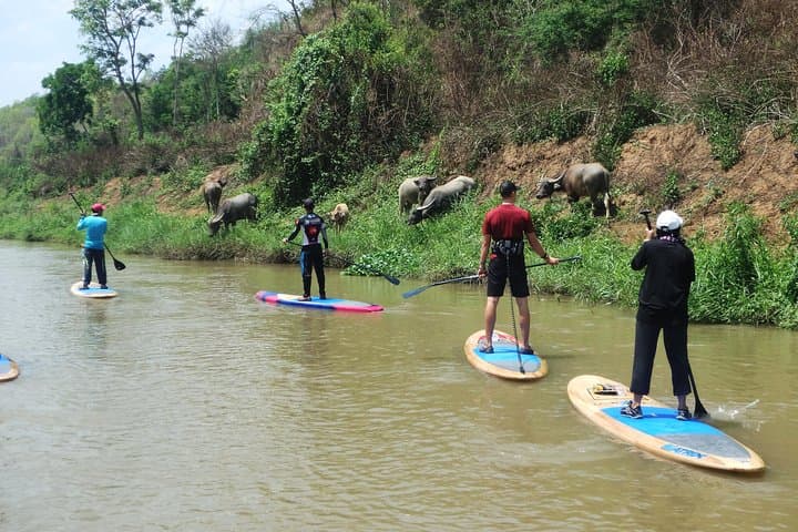 Paddle the Mae Ping: SUP Through Mae Taeng Forest & Mae Ngat Valley photo 3