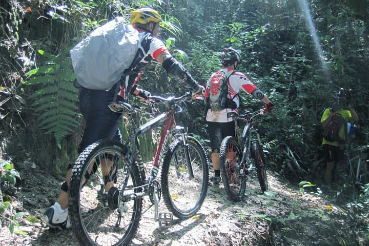 Advanced XC Downhill Biking on Doi Suthep — Chiang Mai Full-Day Ride