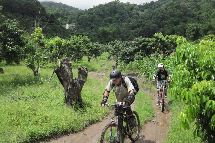 Advanced XC Downhill Biking on Doi Suthep — Chiang Mai Full-Day Ride photo 3