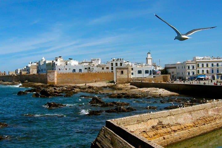 Essaouira Private Day Trip from Marrakech — Argan Workshops, Medina & Atlantic Views photo 3