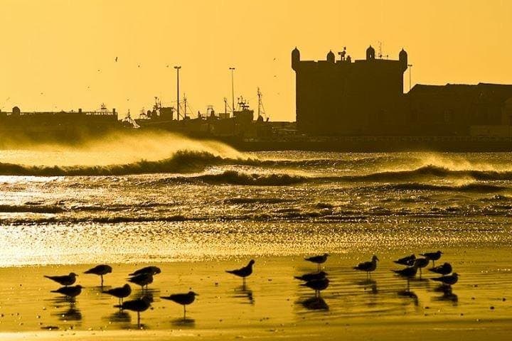 Essaouira Private Day Trip from Marrakech — Argan Workshops, Medina & Atlantic Views photo 2