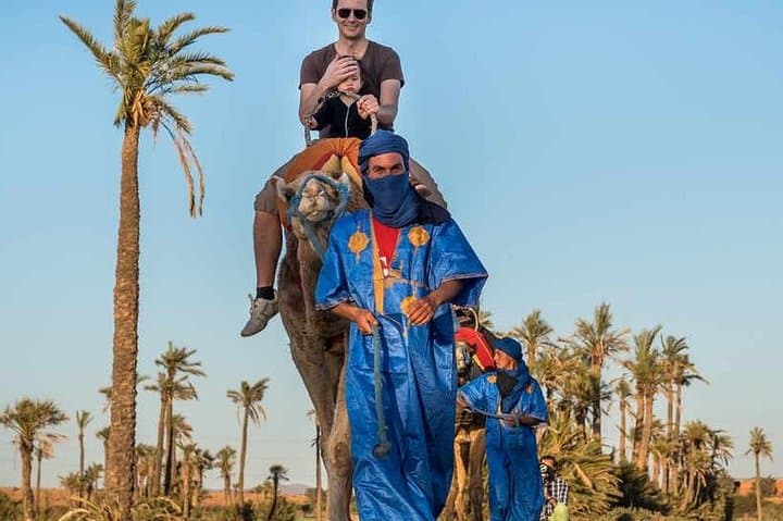 Camel Ride Through Marrakech Palmeraie: Half-Day Palm Grove & Desert Experience
