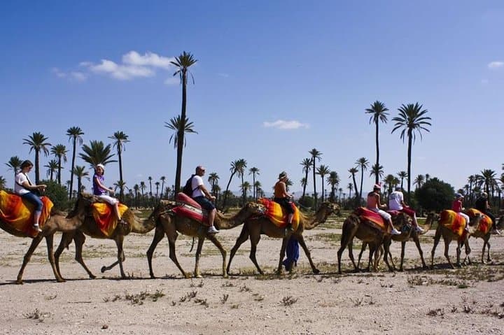 Camel Ride Through Marrakech Palmeraie: Half-Day Palm Grove & Desert Experience photo 2
