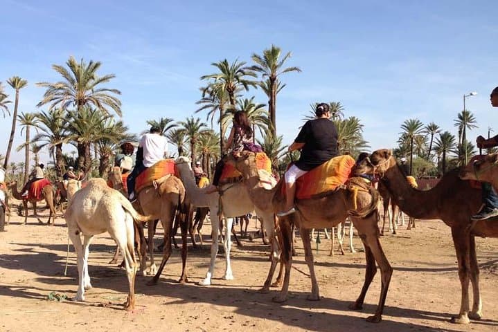 Quad Bikes and Camels: Full-Day Palmeraie Adventure from Marrakech photo 2