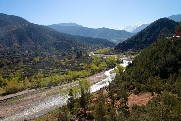 Berber Cooking Class in the Atlas Mountains: Day Trip from Marrakech photo 6