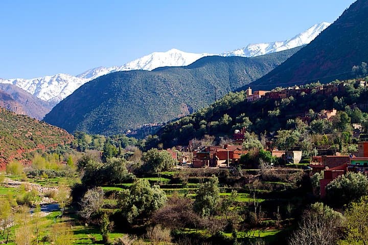 Berber Cooking Class in the Atlas Mountains: Day Trip from Marrakech photo 5
