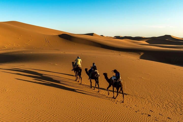 6-Day Morocco Imperial Cities & Sahara Desert Tour from Casablanca photo 5