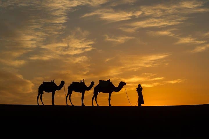 10-Day Private Morocco: Imperial Cities, Atlas Passes & Sahara Camel Trek photo 6