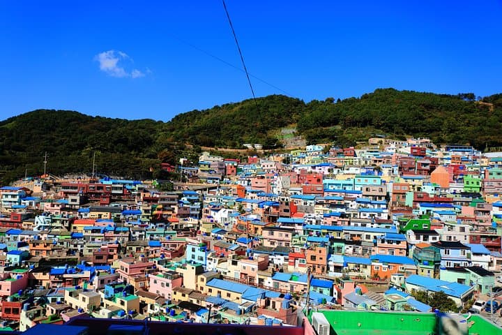 Unveiling Busan: A One-Day Private City Expedition