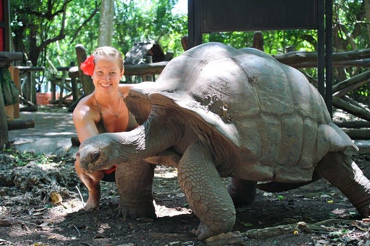 Stone Town and Prison Island Half-Day: History, Tortoises & Snorkel photo 2