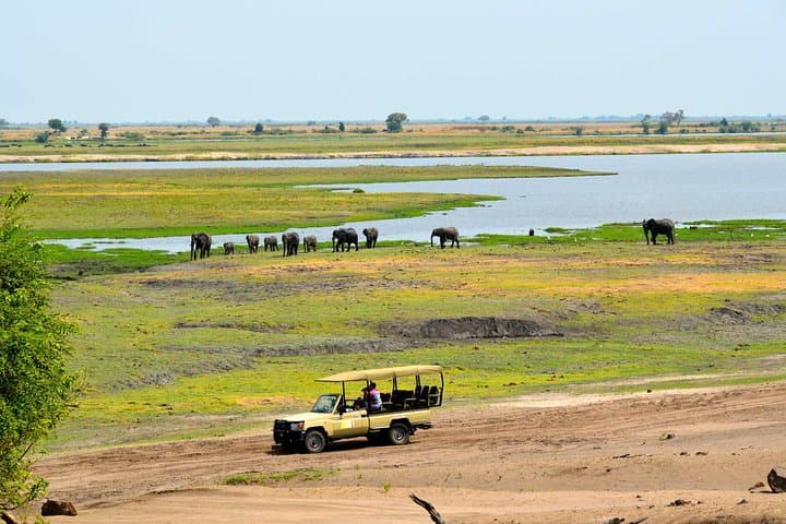 Chobe National Park Game Drive: Kasane Safari for Elephants & Birdlife