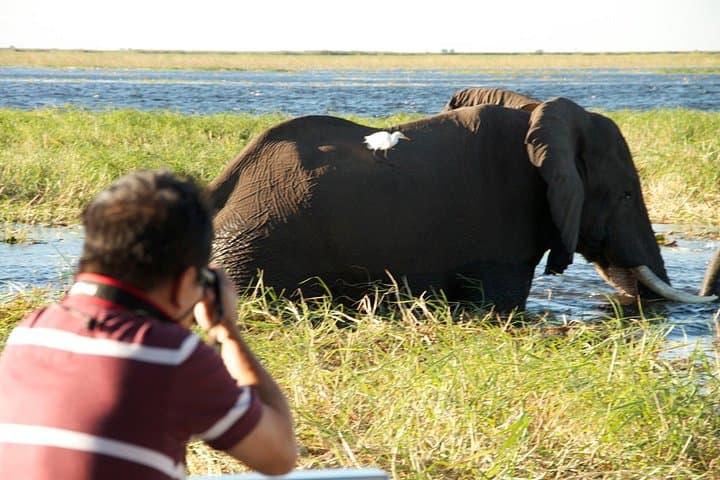 Chobe River Game Cruise: Kasane Boat Safari for Elephants, Hippos & Birds photo 4