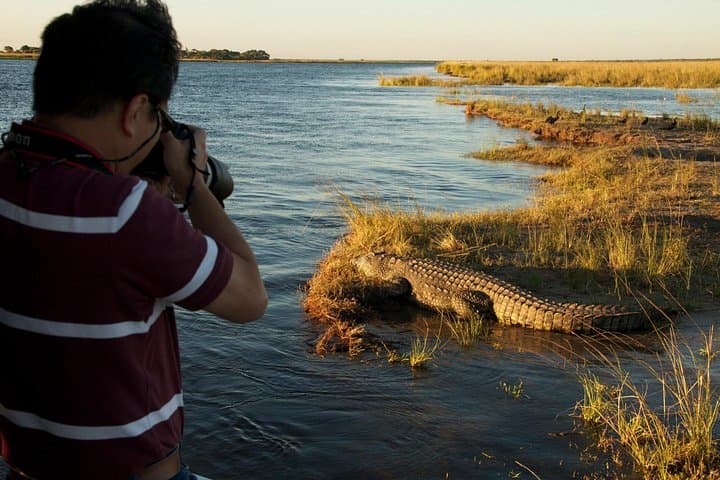 Chobe River Game Cruise: Kasane Boat Safari for Elephants, Hippos & Birds photo 6