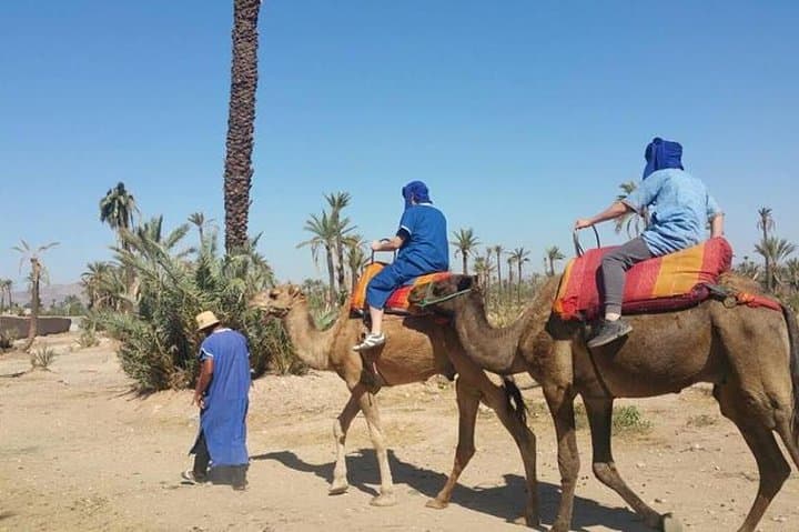 Camel Ride in Marrakech’s Palmeraie — Mint Tea, Berber Villages & Sunset Views photo 2
