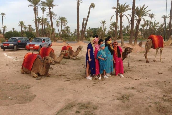 Sunset Camel Ride in Marrakech Palm Grove — Evening Camel Trek & Mint Tea Experience