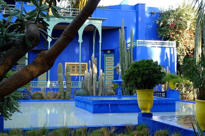 Marrakech City Highlights: Full-Day Medina, Palmeraie & Camel Ride photo 2
