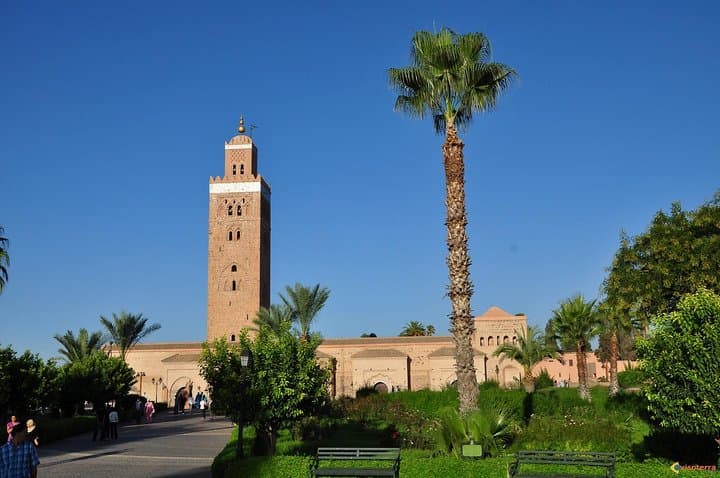 Marrakech City Highlights: Full-Day Medina, Palmeraie & Camel Ride