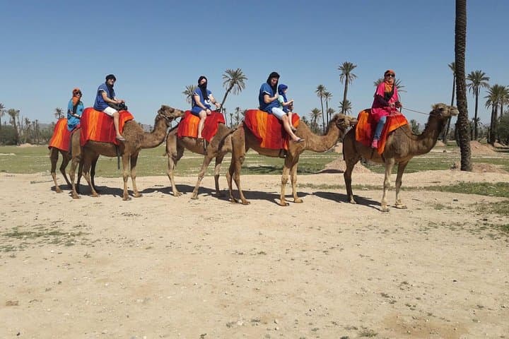 Palmeraie Camel Ride in Marrakech: Palm-Grove Tour with Tea Break