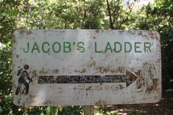 Blue Mountain Peak Hike from Kingston — Scenic Day Trek to Jamaica's Highest Point photo 4