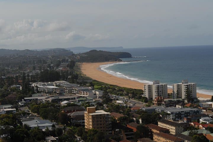Explore Sydney's Northern Beaches: Beaches, Bushland & Wildlife Day Tour photo 3