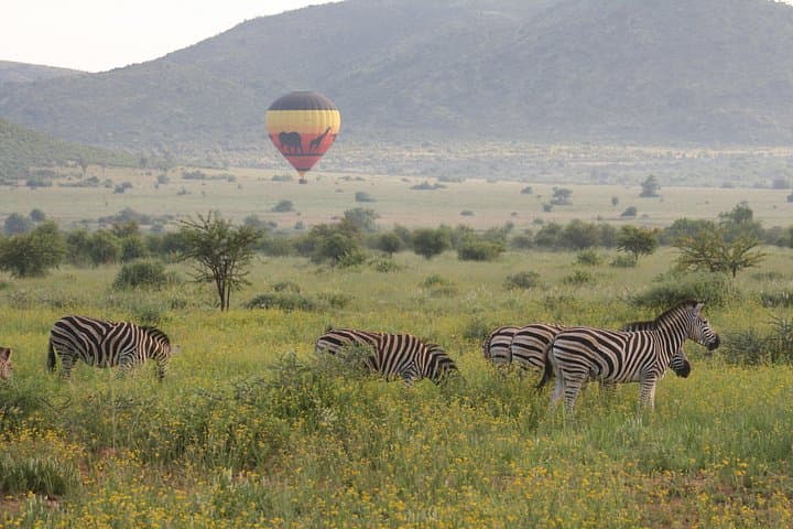 Sunrise Hot Air Balloon Safari Over Pilanesberg National Park photo 2