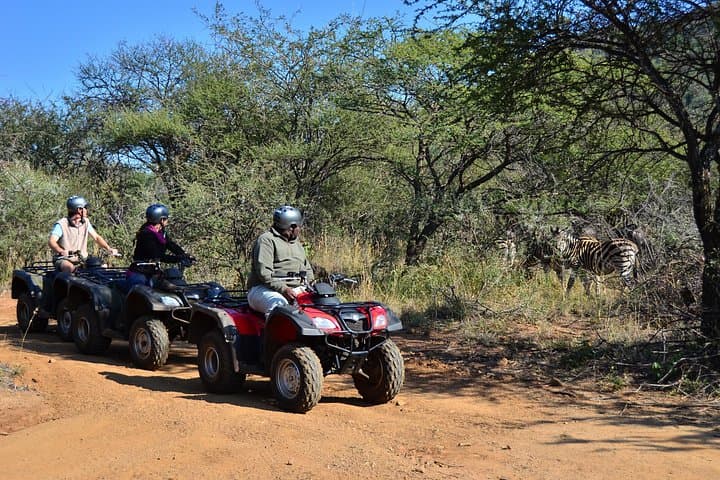 Quad Biking Nature Trail at Sun City: 1-Hour Letsatsing Game Park Adventure