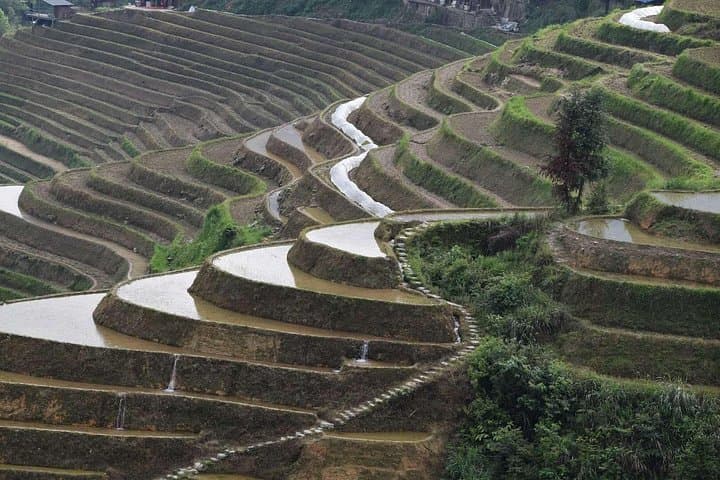 Longji Rice Terraces & Dazhai Cable Car Day Tour — Dragon's Backbone from Guilin photo 2